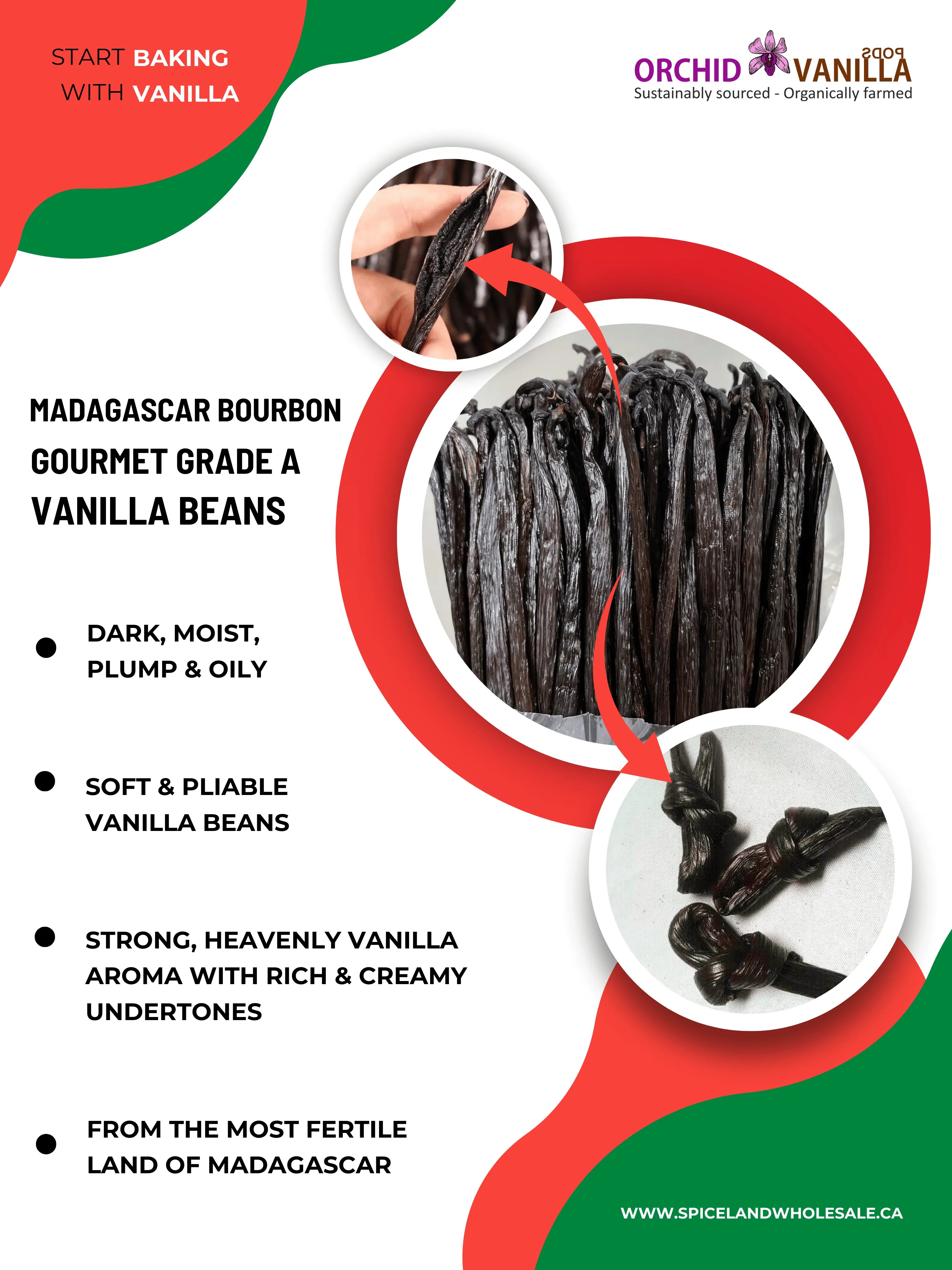 Madagascar Bourbon Vanilla Beans Gourmet Grade-A <br>For Extract And Baking<BR>By Pound